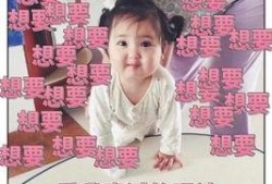 娱乐吃瓜酱想自由,吃瓜酱带你畅游自由生成世界